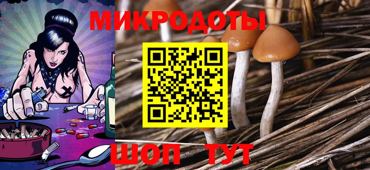 НБОМе Заволжье