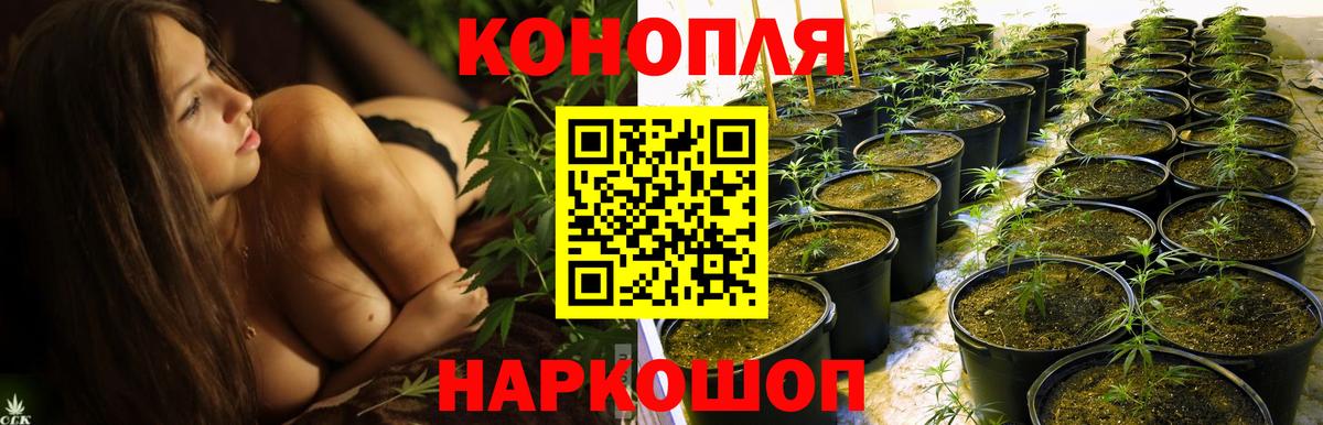 Бошки марихуана SATIVA & INDICA Заволжье